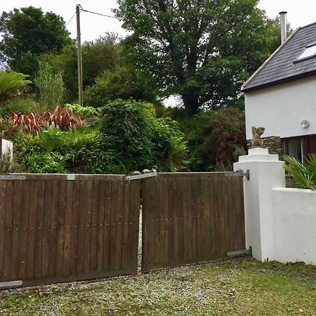 Fernery Garden Cottage, Near Skibbereen Exterior foto